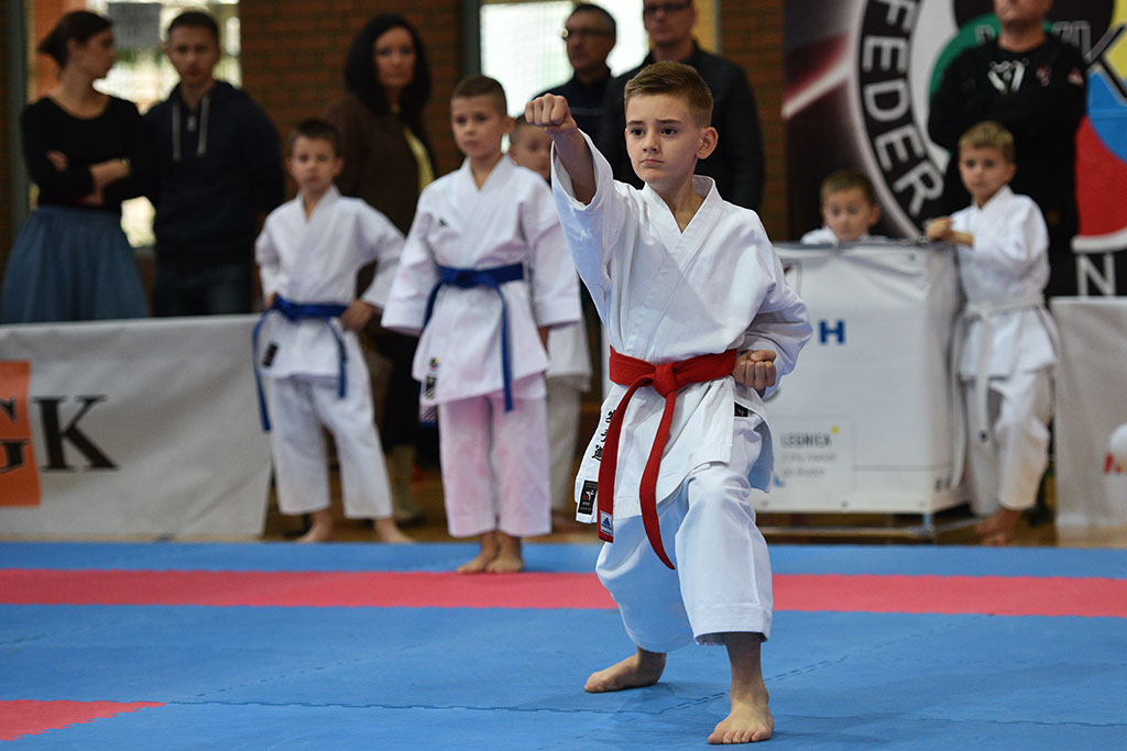 XVII CUPRUM CUP – International Karate WKF Polish Open 2016.Cz.2