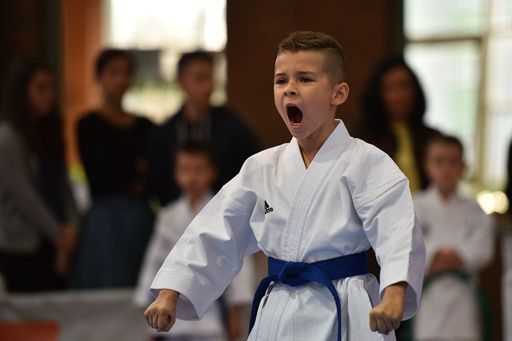 XVII CUPRUM CUP – International Karate WKF Polish Open 2016.Cz.2