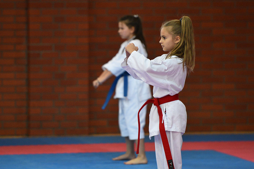 XVII CUPRUM CUP – International Karate WKF Polish Open 2016.Cz.2