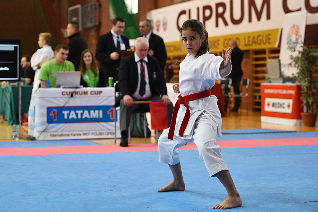 XVII CUPRUM CUP – International Karate WKF Polish Open 2016.Cz.2