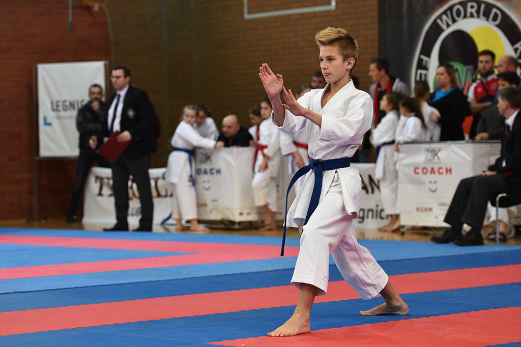 XVII CUPRUM CUP – International Karate WKF Polish Open 2016.Cz.2