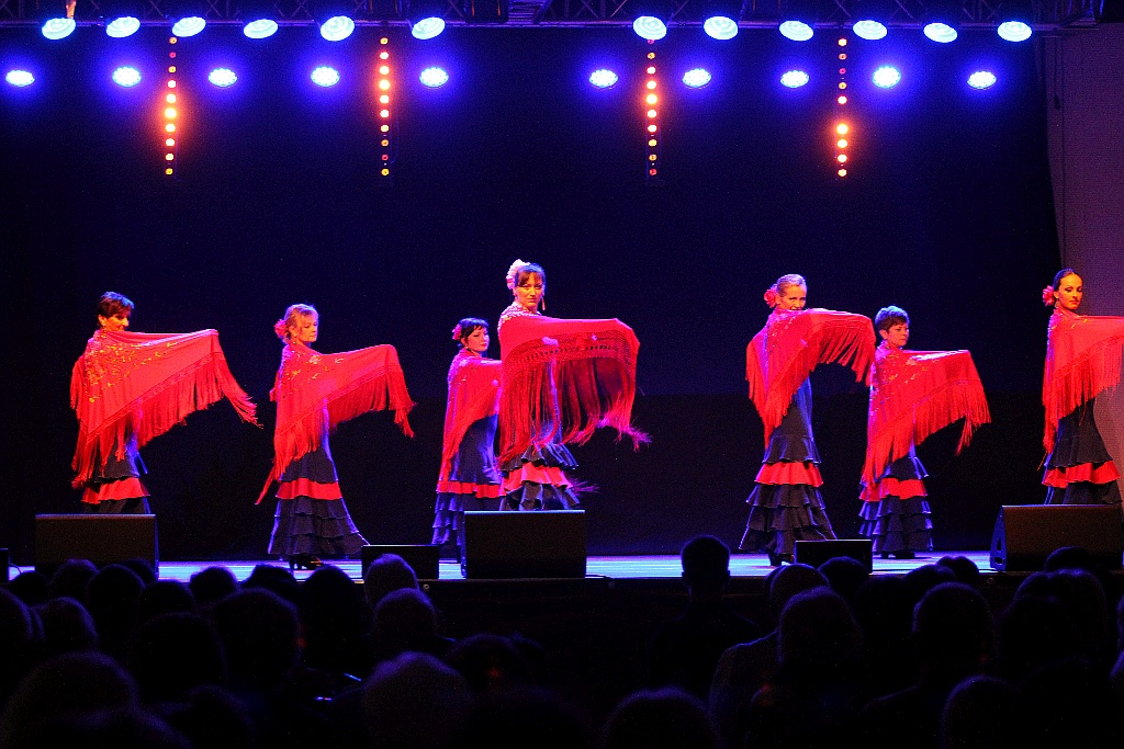 Pełna widownia na pokazie tańca flamenco w Sali Maneżowej
