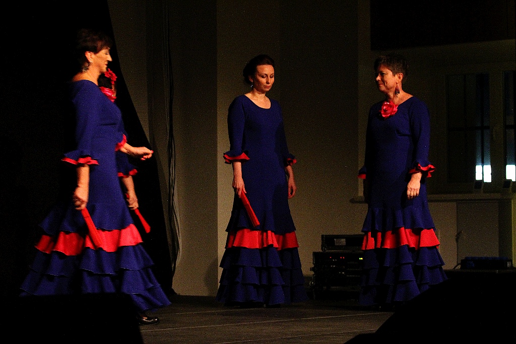 Pełna widownia na pokazie tańca flamenco w Sali Maneżowej