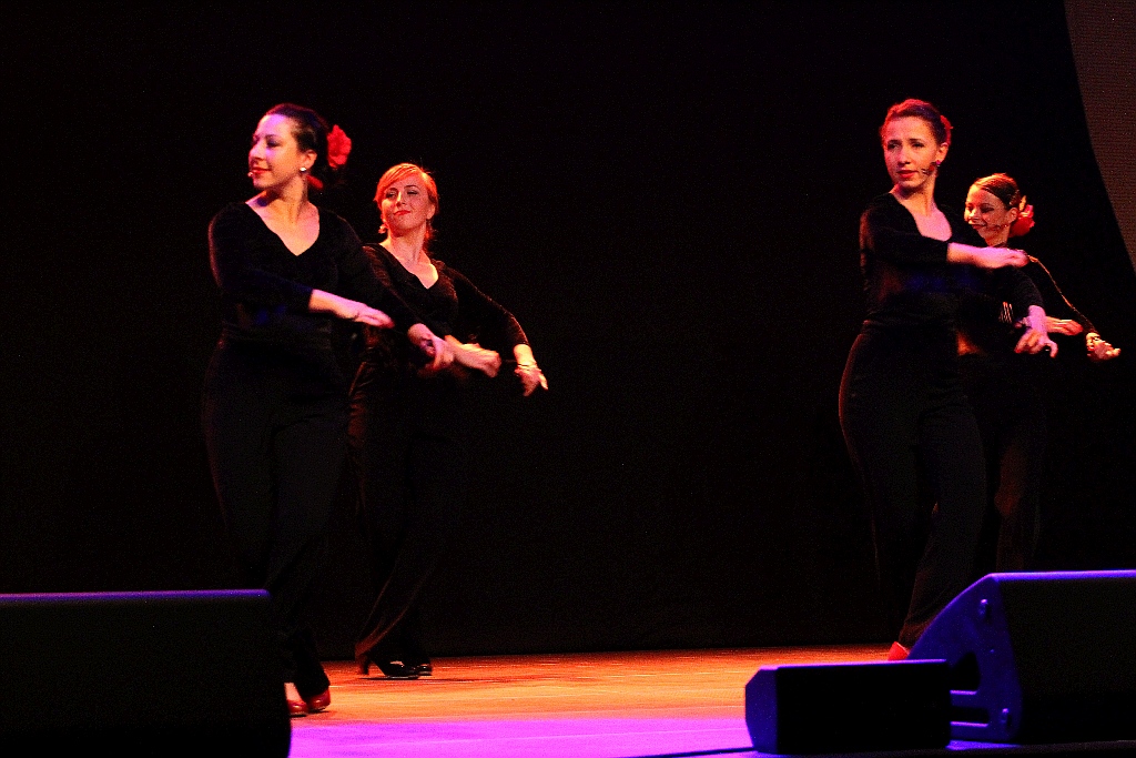 Pełna widownia na pokazie tańca flamenco w Sali Maneżowej