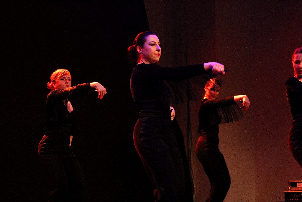 Pełna widownia na pokazie tańca flamenco w Sali Maneżowej