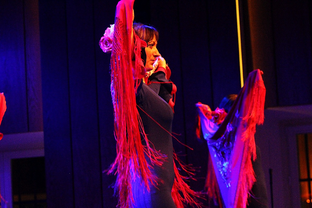 Pełna widownia na pokazie tańca flamenco w Sali Maneżowej