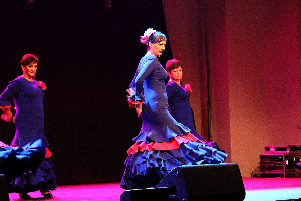 Pełna widownia na pokazie tańca flamenco w Sali Maneżowej