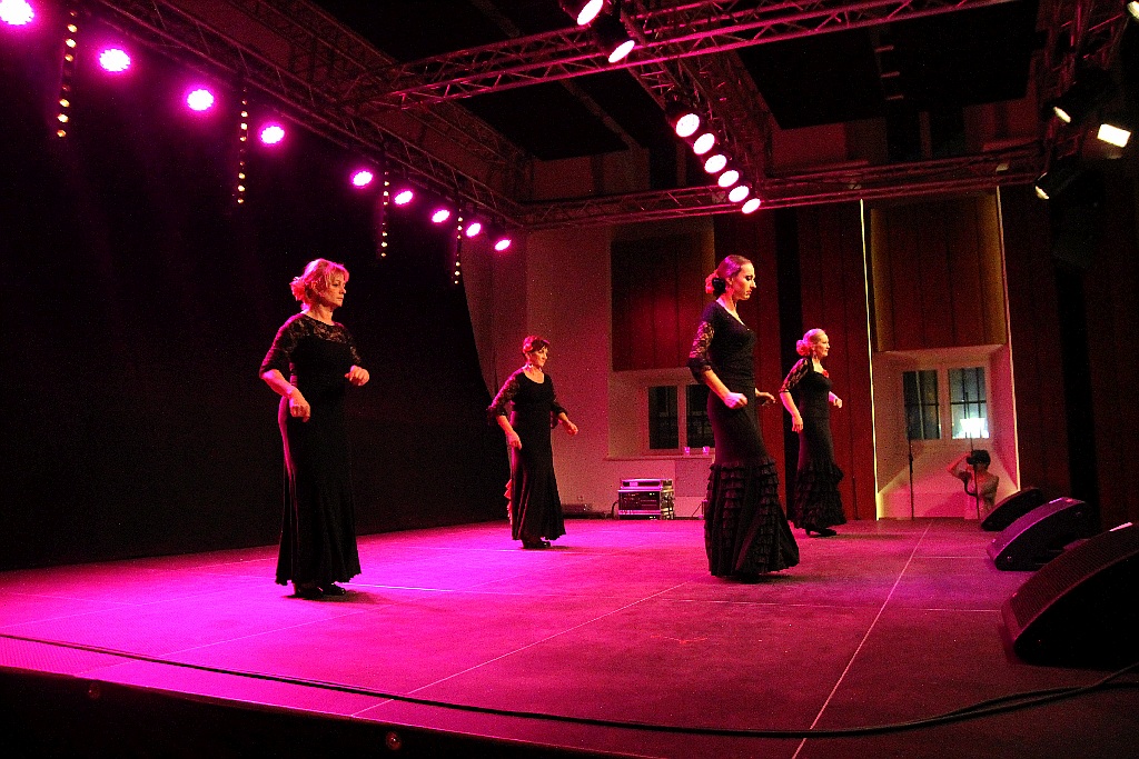 Pełna widownia na pokazie tańca flamenco w Sali Maneżowej