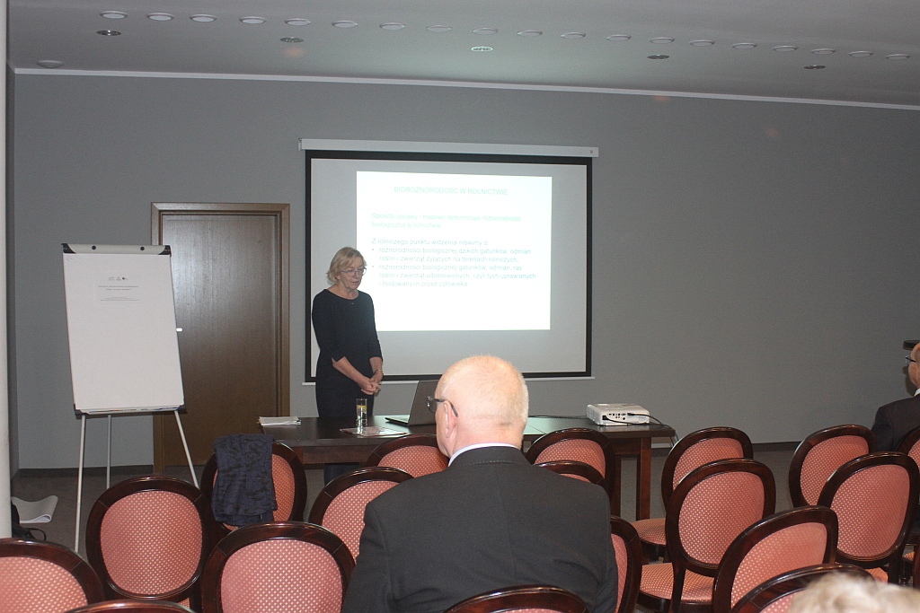 W Krotoszycach odbył się Kaczawski Jarmark Bożonarodzeniowy