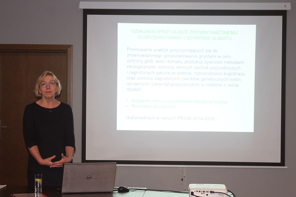 W Krotoszycach odbył się Kaczawski Jarmark Bożonarodzeniowy