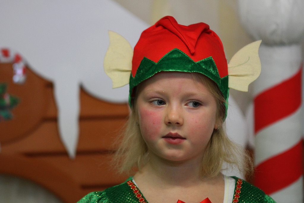 Opowieść o świątecznej krzątaninie w Planecie Zdrowia