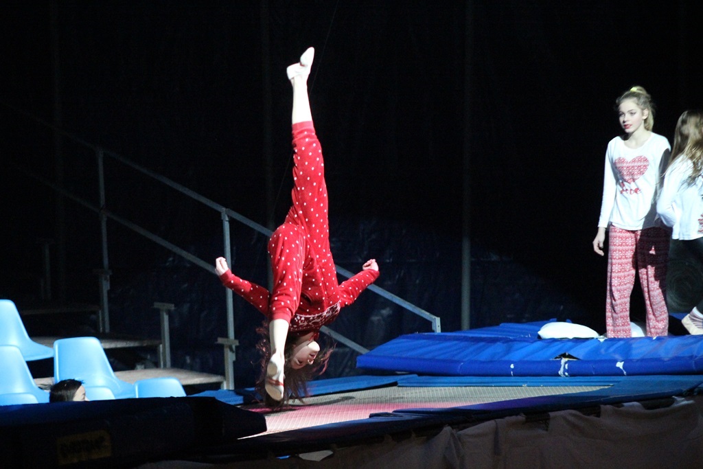 Legniczanie po raz ostatni obejrzeli Ocelot Christmas Show