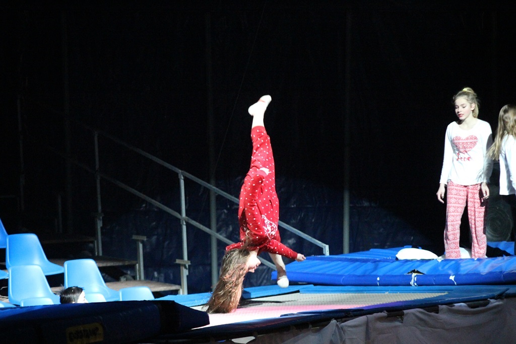 Legniczanie po raz ostatni obejrzeli Ocelot Christmas Show