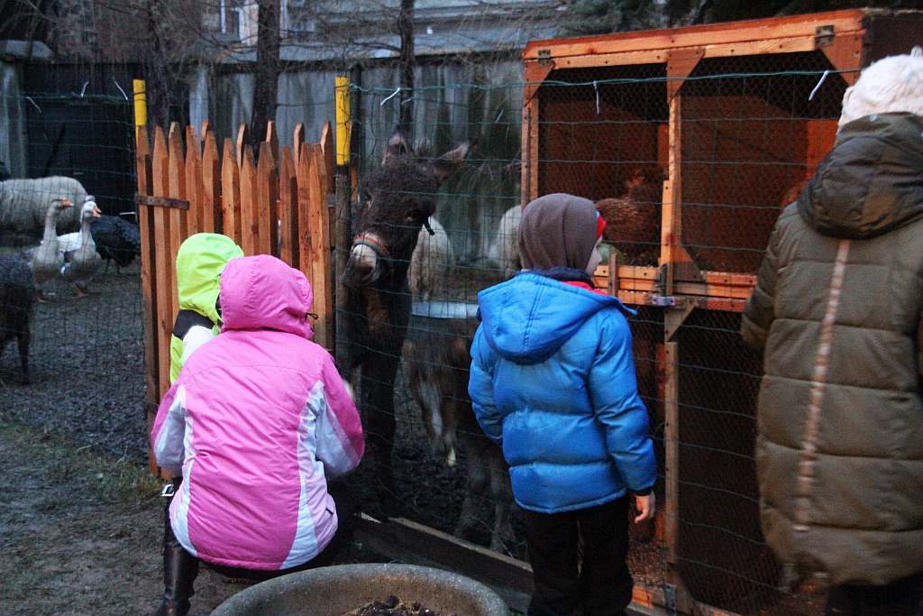 Franciszkanie przygotowali dla mieszkańców legnicy żywą szopkę