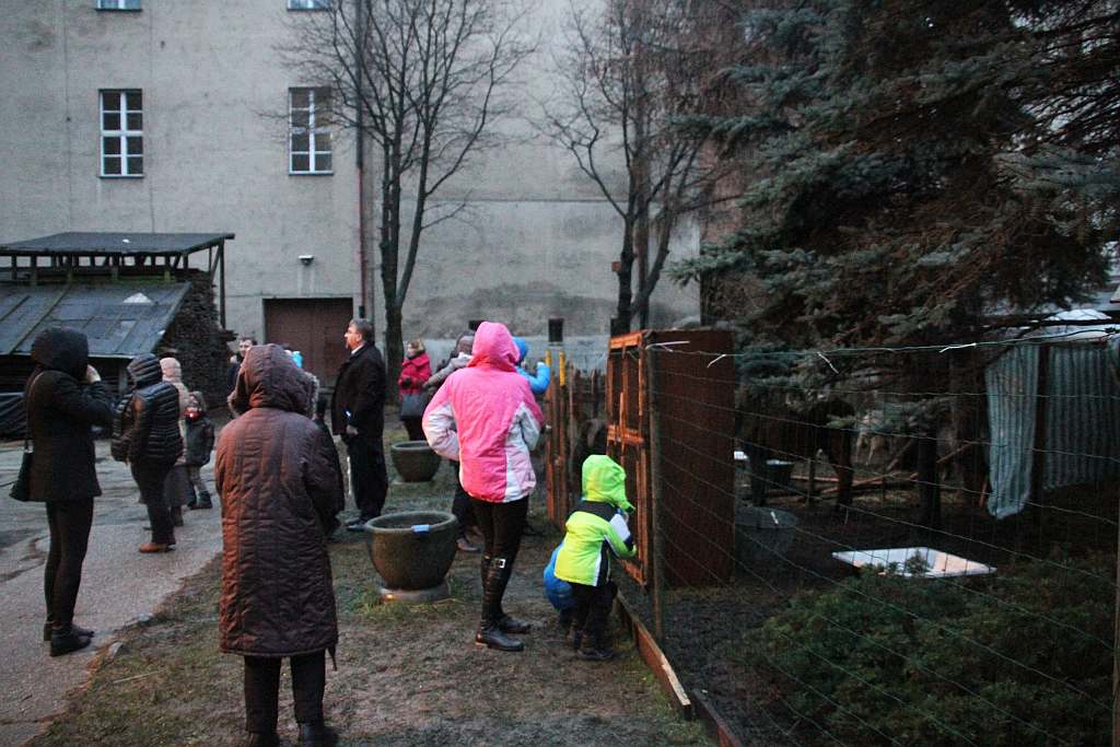 Franciszkanie przygotowali dla mieszkańców legnicy żywą szopkę