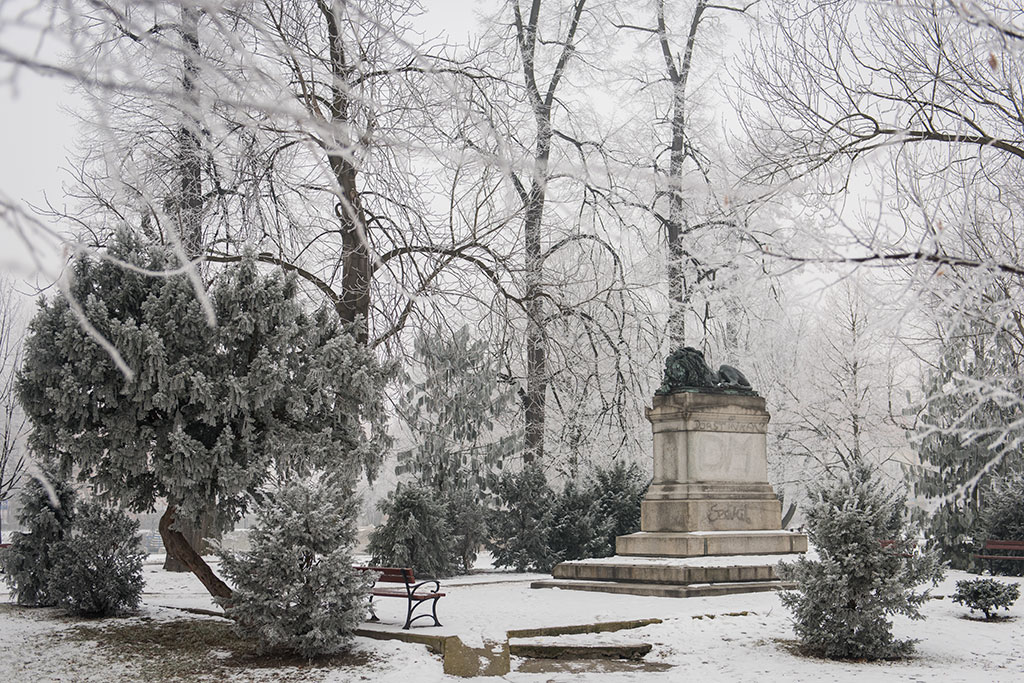 Zobacz jak magicznie i bajkowo wygląda park „ubrany” w szadź