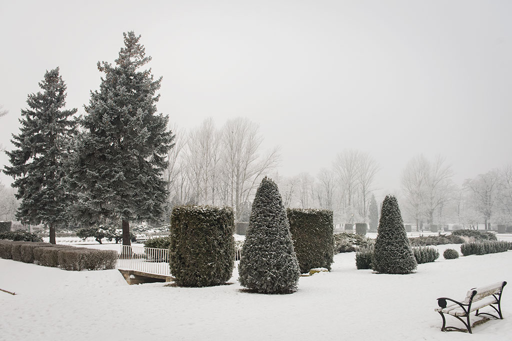 Zobacz jak magicznie i bajkowo wygląda park „ubrany” w szadź