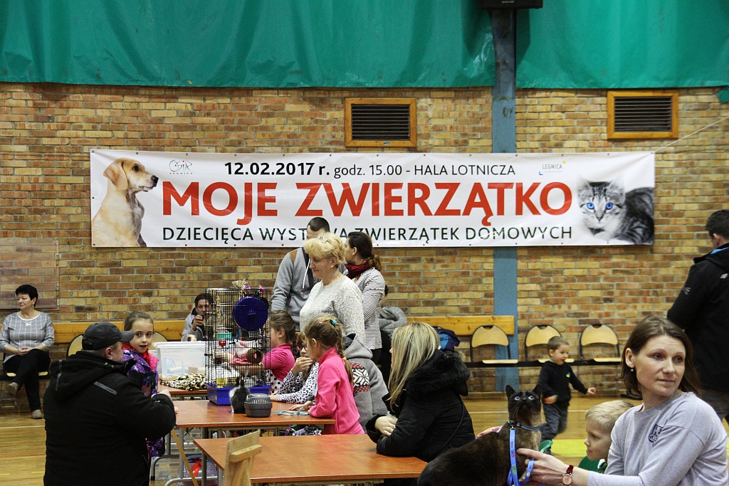 Właściciele zaprezentowali swoich pupili w hali przy Lotniczej