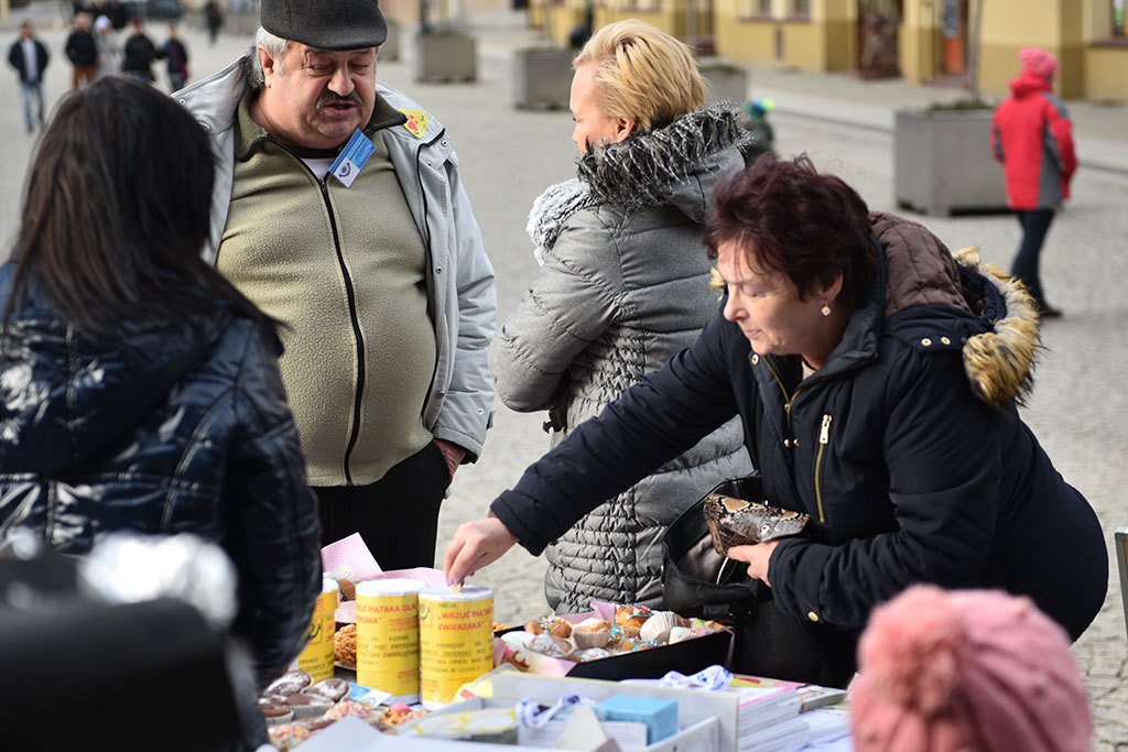Happening, na którym zbierano pieniądze dla „bezdomniaków”