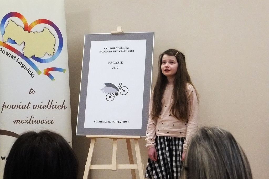 W starostwie odbyły się powiatowe eliminacje Pegazika