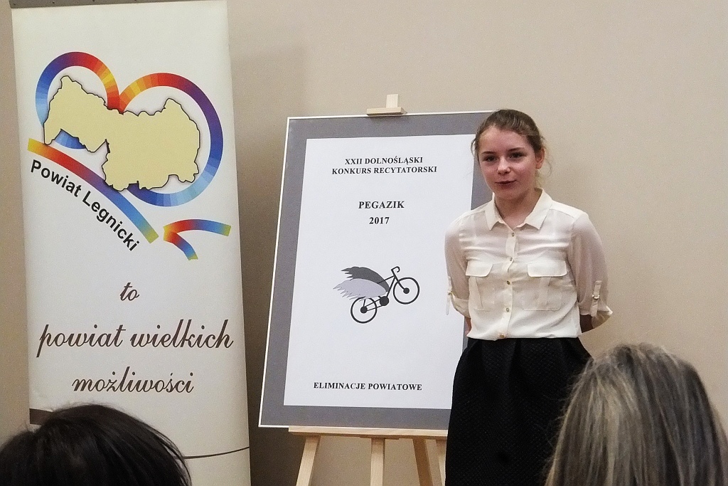 W starostwie odbyły się powiatowe eliminacje Pegazika