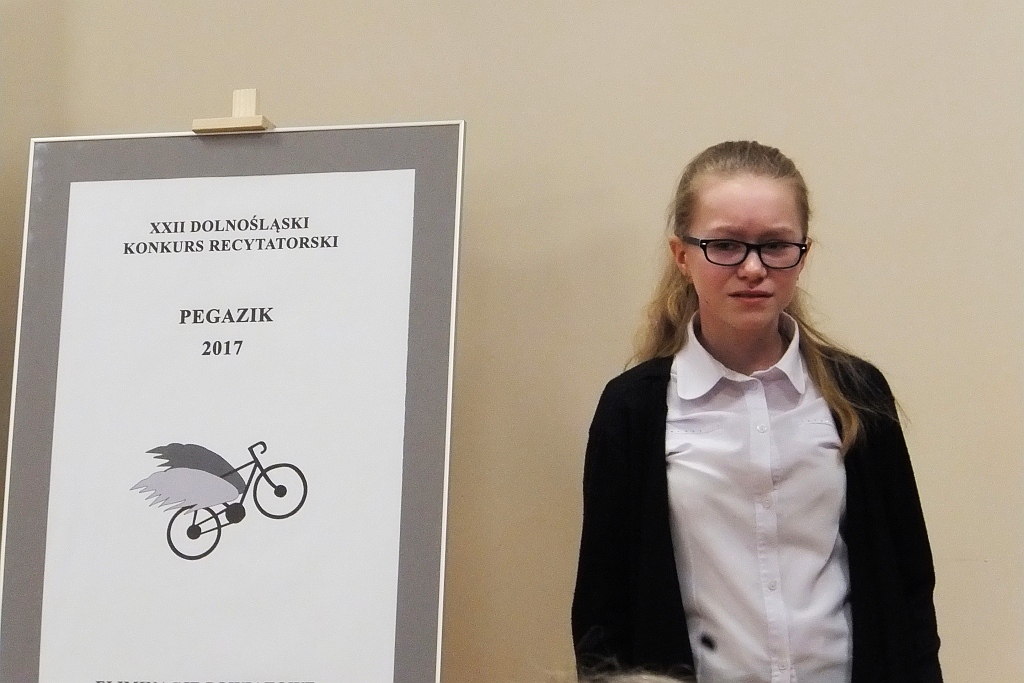 W starostwie odbyły się powiatowe eliminacje Pegazika
