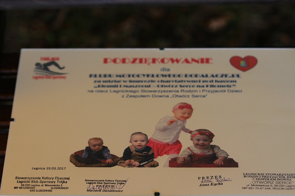 W parku biegają dla podopiecznych Stowarzyszenia Otwórz Serce