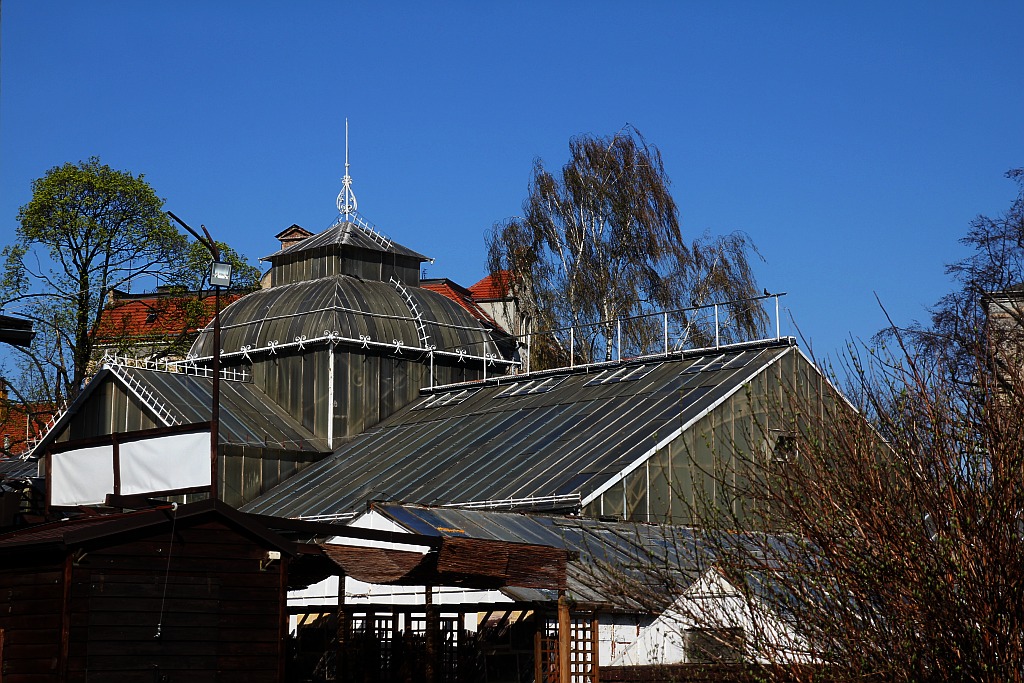 Legniczanie mogą już odwiedzać palmiarnię i mini zoo