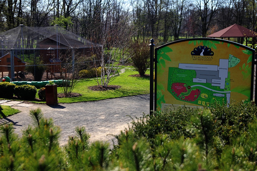 Legniczanie mogą już odwiedzać palmiarnię i mini zoo