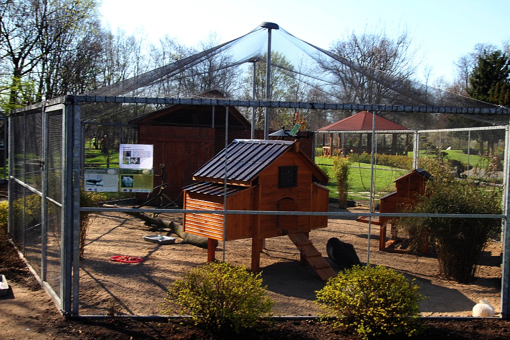 Legniczanie mogą już odwiedzać palmiarnię i mini zoo