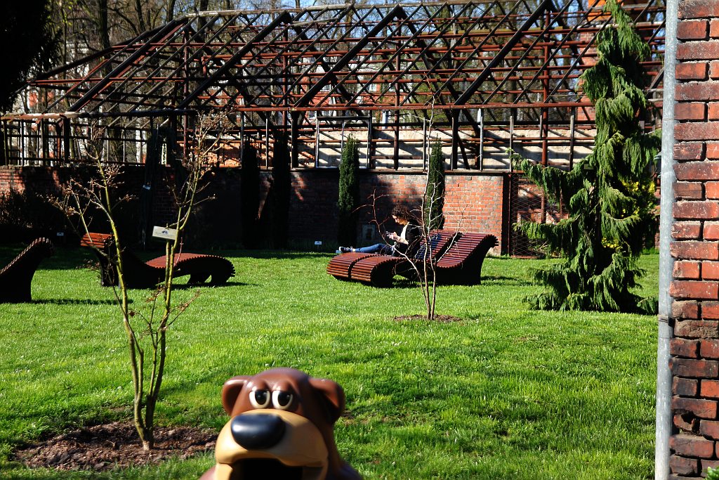 Legniczanie mogą już odwiedzać palmiarnię i mini zoo