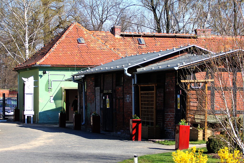 Legniczanie mogą już odwiedzać palmiarnię i mini zoo