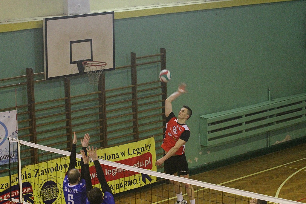 Siatkarze Ikara Legnica zakończyli sezon zwycięstwem
