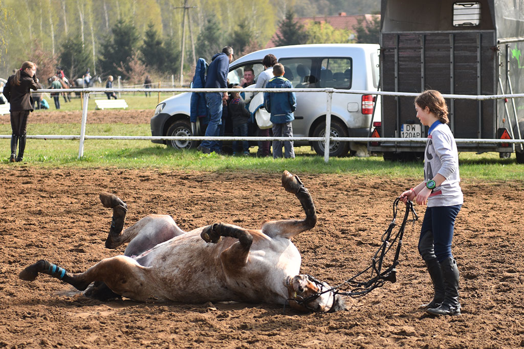 Międzynarodowe i Ogólnopolskie Zawody WKKW - Jaroszówka