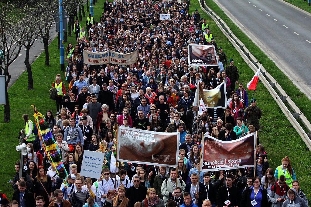 Blisko 2 tys. wiernych przeszło w Marszu dla Życia i Rodziny