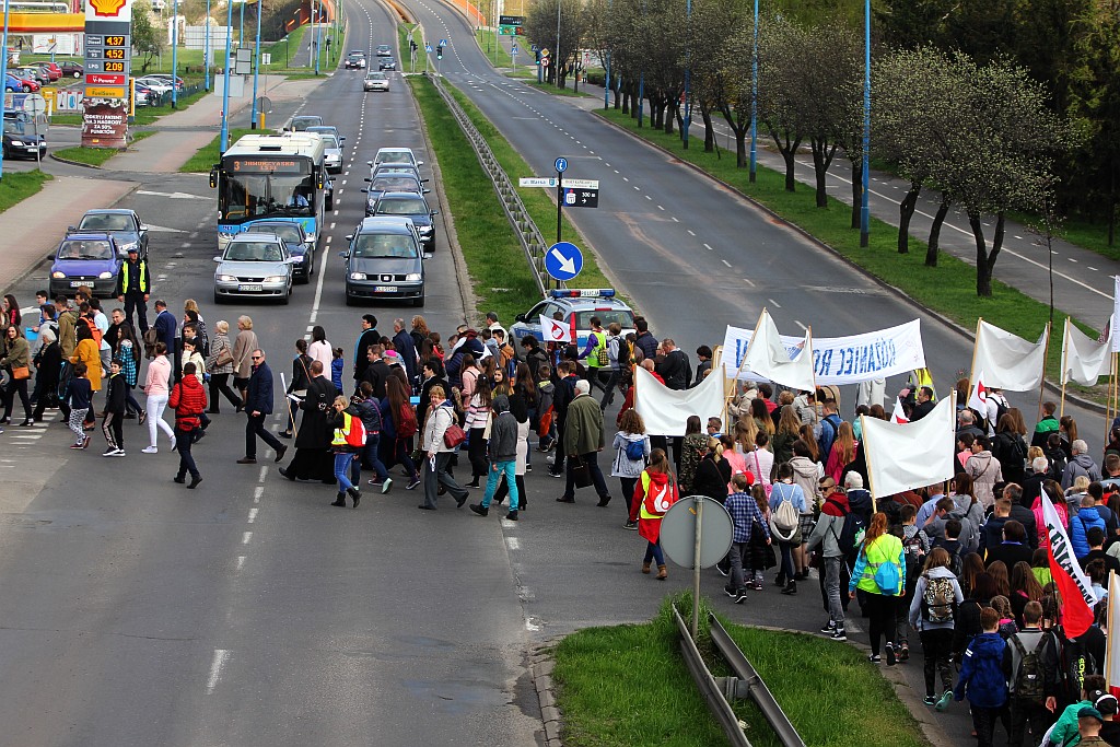 Blisko 2 tys. wiernych przeszło w Marszu dla Życia i Rodziny