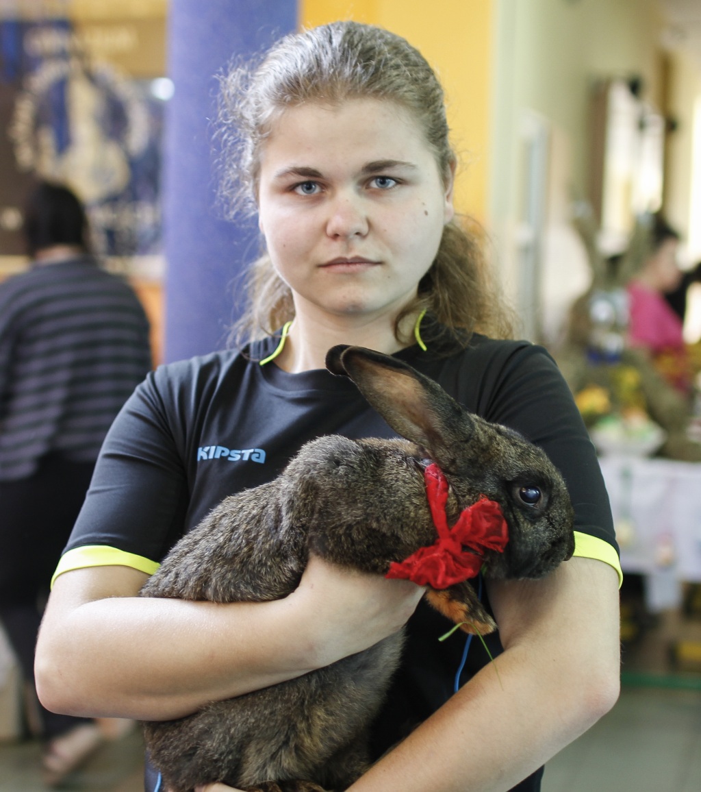 Smaczny i kolorowy jarmark wielkanocny w Miłkowicach