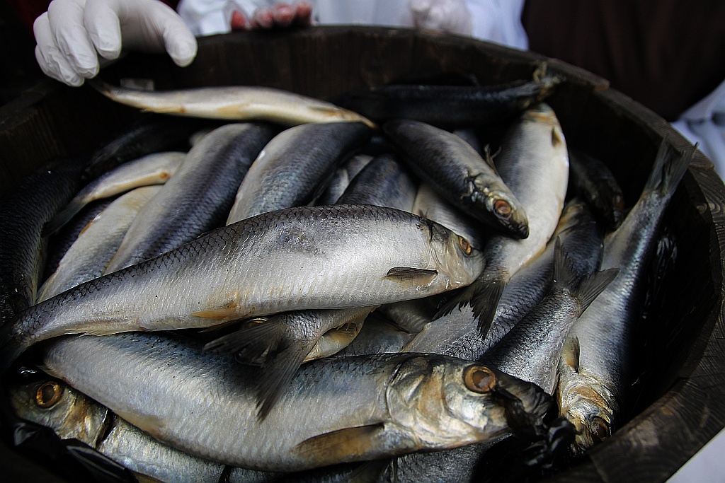 Po raz piętnasty rozdano legniczanom chleby, śledzie i grosze