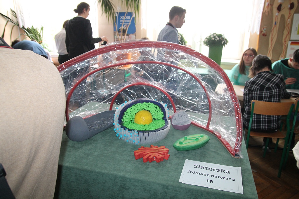 W I Liceum Ogólnokształcącym odbył się dzień otwarty