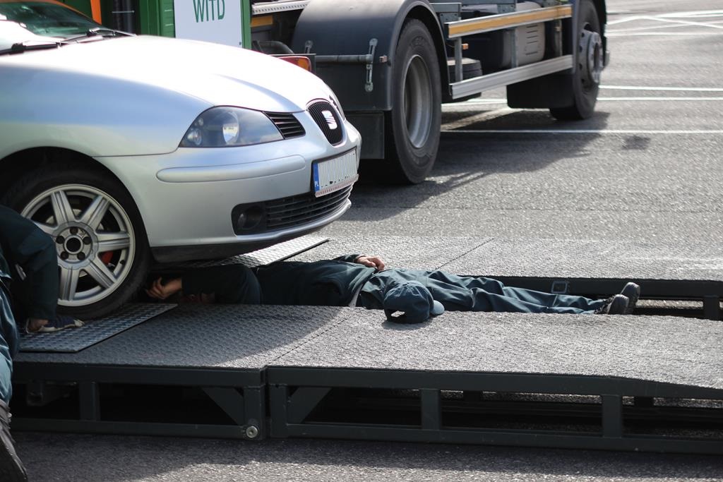 Legnicki WORD zorganizował piknik bezpieczeństwa drogowego