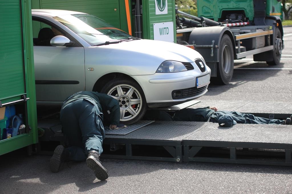 Legnicki WORD zorganizował piknik bezpieczeństwa drogowego