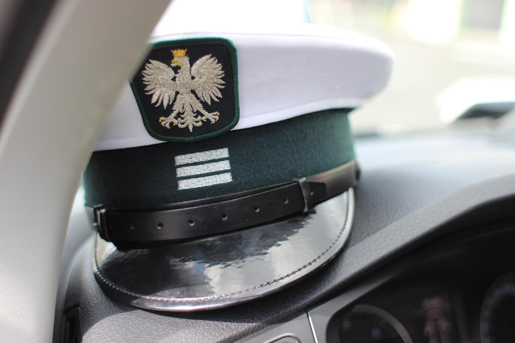 Legnicki WORD zorganizował piknik bezpieczeństwa drogowego