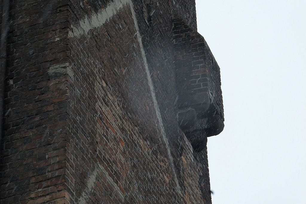Odbył się pierwszy spacer z cyklu Magiczna Legnica Tour