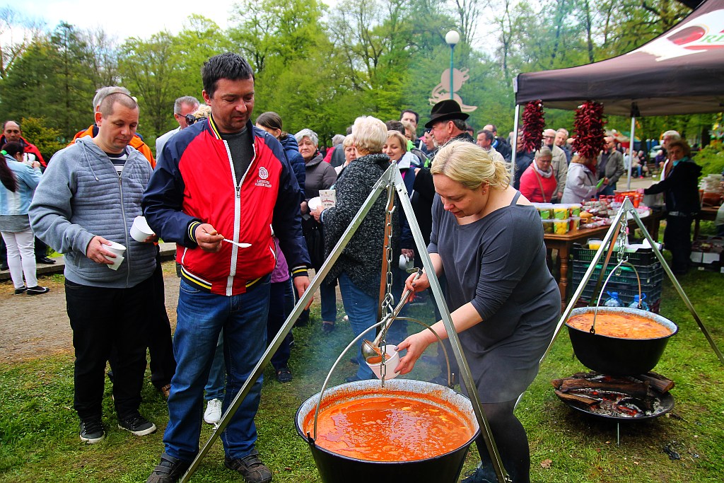 Piknik węgierski w ramach obchodów Roku Kultury Węgierskiej