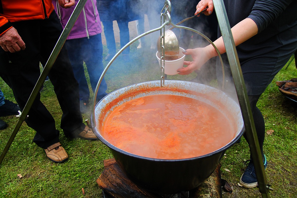 Piknik węgierski w ramach obchodów Roku Kultury Węgierskiej