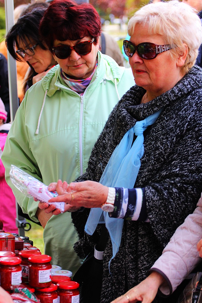 Piknik węgierski w ramach obchodów Roku Kultury Węgierskiej