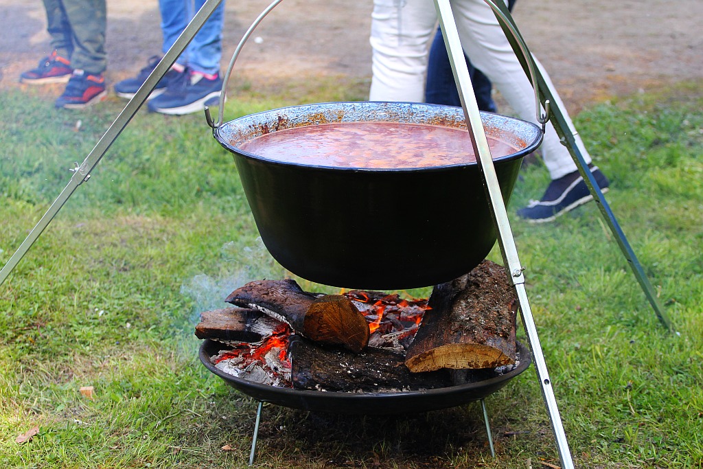 Piknik węgierski w ramach obchodów Roku Kultury Węgierskiej