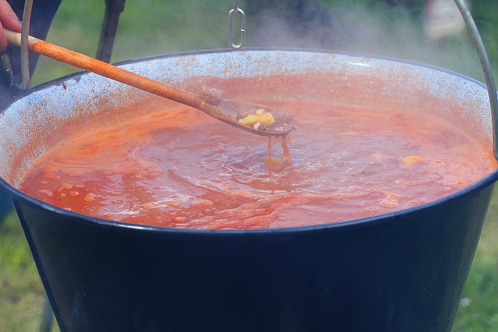 Piknik węgierski w ramach obchodów Roku Kultury Węgierskiej