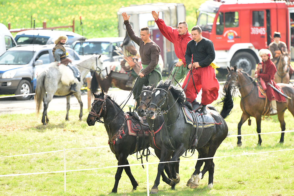 Henryk Pobożny znów stracił głowę w bitwie z Mongołami