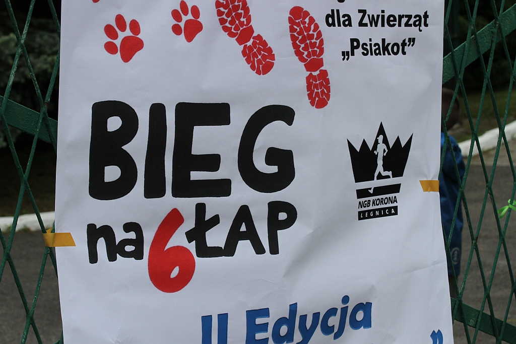 Kilkadziesiąt osób wzięło udział w drugiej edycji Biegu na 6 łap